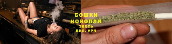не бодяженный Пересвет