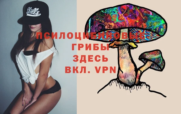 скорость Пестово