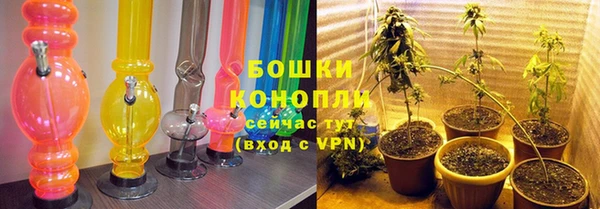 не бодяженный Пересвет