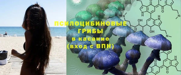 mdma Богородицк