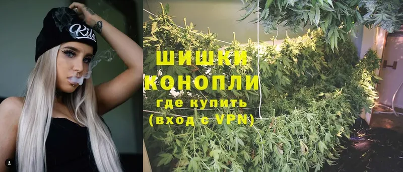 Шишки марихуана THC 21%  как найти   Бородино 